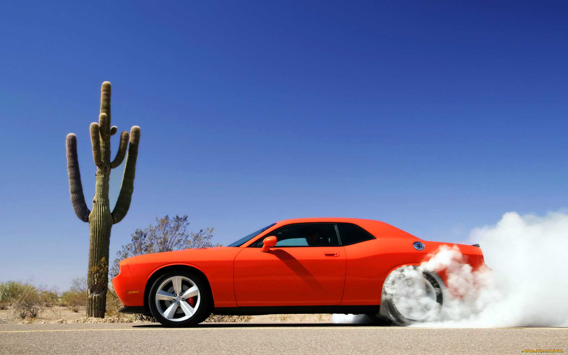 , dodge